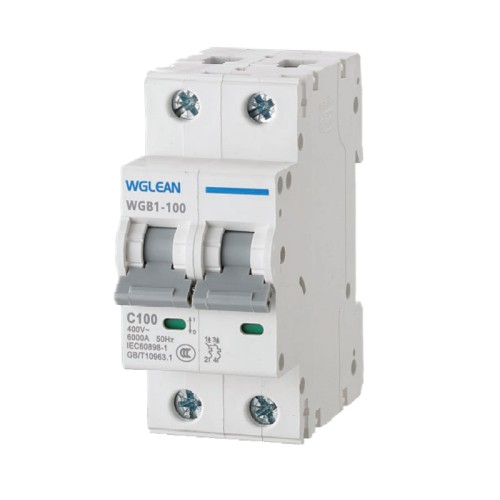 WGB1-100 Miniature circuit breaker(MCB)